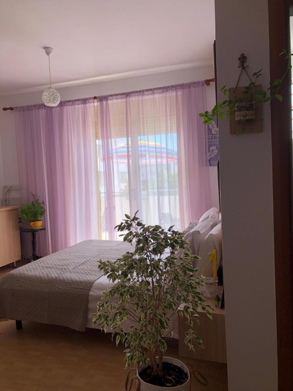 Studio Of Shpresa Vlorë 외부 사진